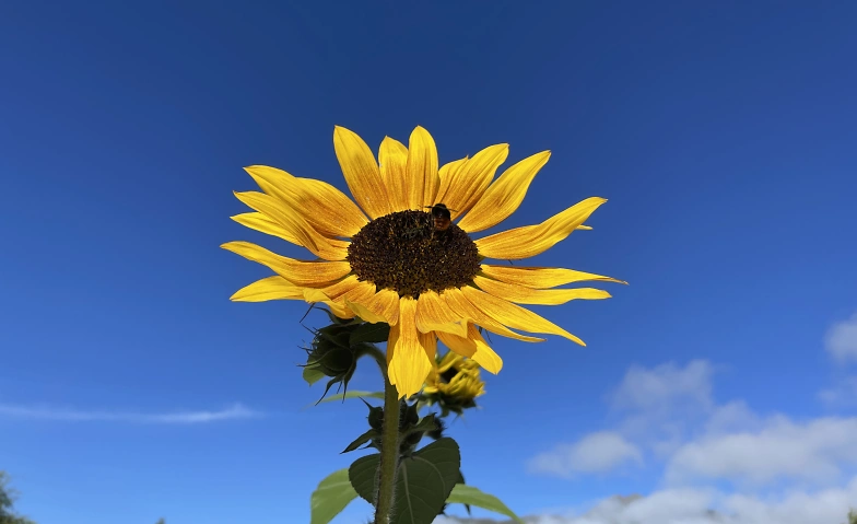 Event-Image for 'Entspannungsmethoden f&uuml;r Kinder von 6 bis ca. 11 Jahren'