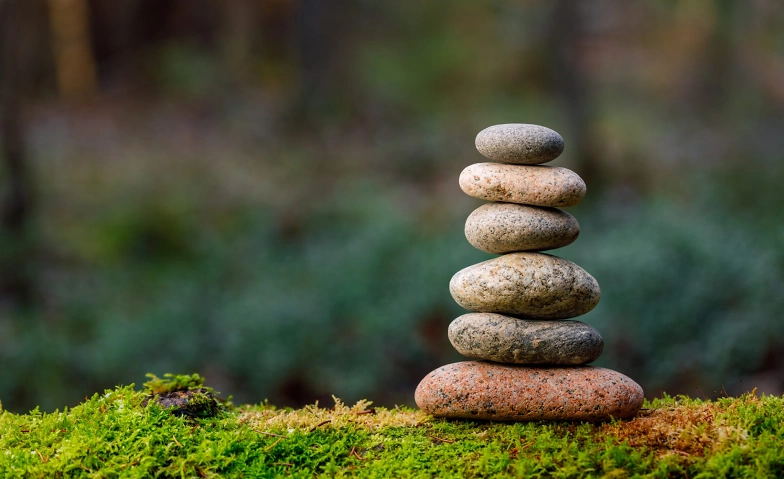 Stilles Sitzen im Tibethaus (Zazen)
