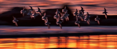 Event-Image for 'Exposition photographies - Fran&ccedil;ois Portmann'
