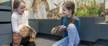 Event-Image for 'Jugendlabor &laquo;Spuren im Tierreich: F&auml;hrten, Frass und Federn&raquo;'