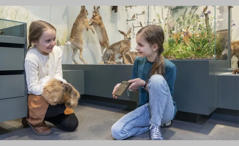 Jugendlabor - Spuren im Tierreich: F&auml;hrten, Frass und Federn Naturmuseum St.Gallen, Rorschacher Strasse 263, 9016 St.Gallen Billets