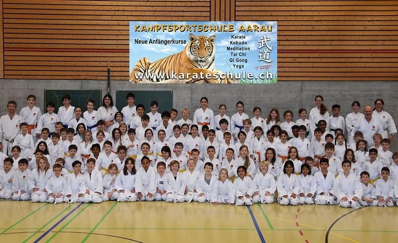 Probetraining  Karate Aarau Kinder (6-12 Jahre) Tickets