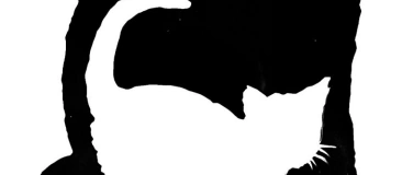 Event-Image for 'Erwachsenenkurs: Faszination Papierschnitt'