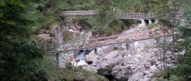 Event-Image for 'Naturdenkraum B&uuml;rser Schlucht &ndash; Mitdenken, Mitreden, Mitgest'