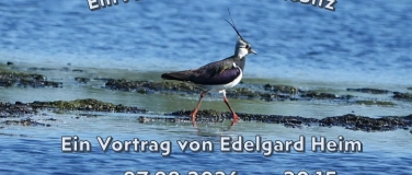 Event-Image for '&bdquo;Der Kiebitz soll bleiben!&ldquo;'