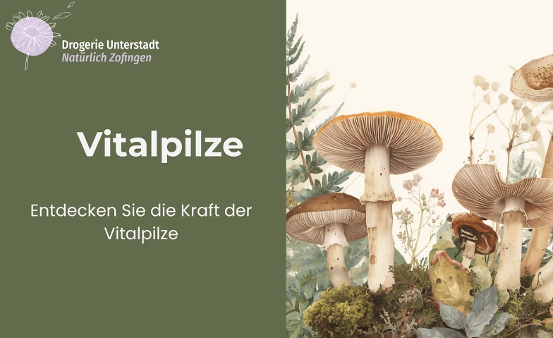 Vitalpilze - Kundenvortrag