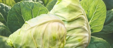 Event-Image for 'Fermentieren - gesund bleiben - OGV Klein-Auheim'