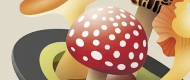 Event-Image for 'Kunst-St&uuml;cke &ndash; Alltag des Artifiziellen'