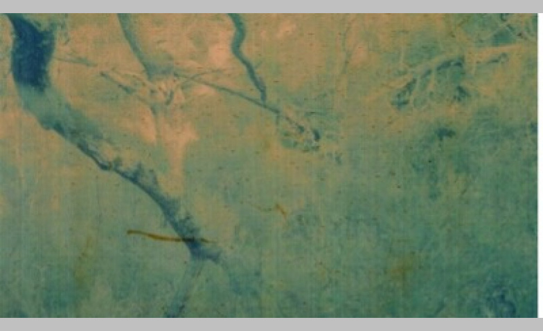 Event-Image for 'Kunst und Kompost: Der Garten als Labor und Belichtungsobjek'