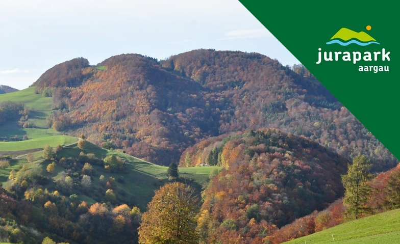 Landschaft lesen und erleben - Geschichte, Wandel, Bedeutung