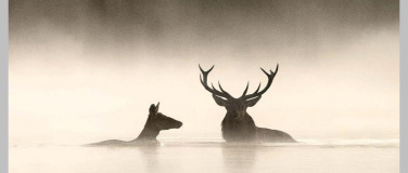 Event-Image for 'Le Chant des for&ecirc;ts'