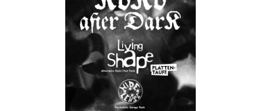 Event-Image for 'KoKo after Dark: Living Shape & Wide Lense'