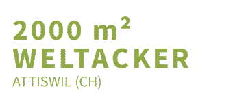 Event organiser of Ackersonntag