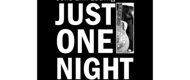Event-Image for 'Just one Night Bluesband'