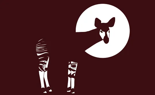 Sponsoring logo of Okapi Openair 2026 - Freitag event