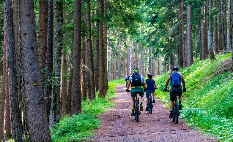 Pro Senectute: E-Mountainbike