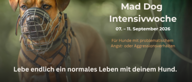 Event-Image for 'Mad Dog Intensivwoche'
