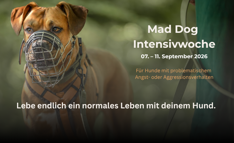 Mad Dog Intensivwoche