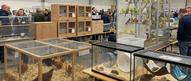 Event-Image for 'Terrarienb&ouml;rse Hannover'
