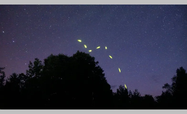 Magie der Gl&uuml;hw&uuml;rmchen Bahnhof Egnach, Bahnhofstrasse 2, 9322 Egnach Tickets
