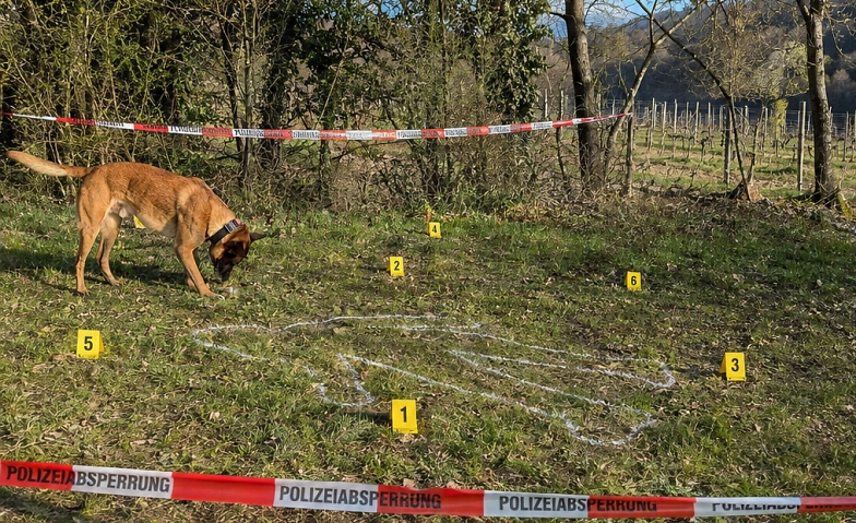 Event-Image for 'Krimiwanderung mit Hund: "Tod im Wingert"'