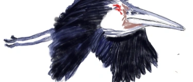 Event-Image for 'Massimos Papiertheater - Ein Kapitaler L&ouml;we'