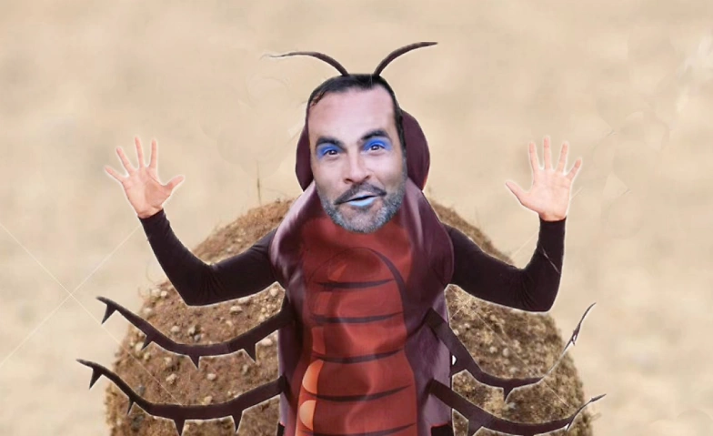 Event-Image for 'dieINsekten'