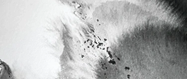 Event-Image for 'Die Seele von Sumi-e: Internationale Perspektiven in Tusche'