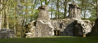 Organisateur de Grill und Chill auf der Burgruine Gr&uuml;nenberg