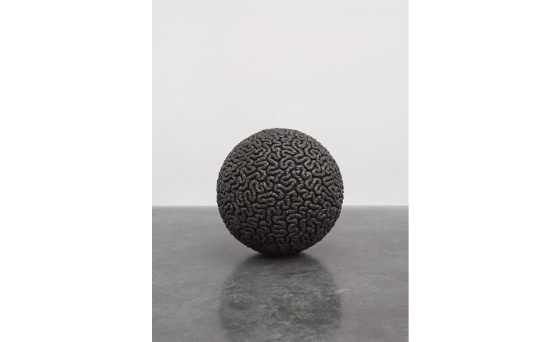 Mona Hatoum  Führung