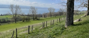 Event-Image for 'Pro Senectute Wanderung'