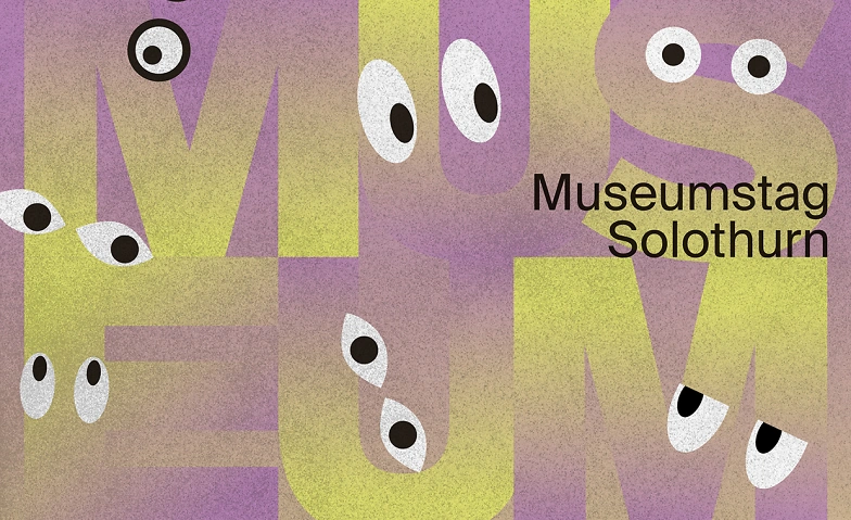 Event-Image for 'Museumstag Solothurn  Kurzf&uuml;hrung'