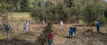 Event-Image for 'Natur verbindet &ndash; Mooreinsatz Breitfeld'