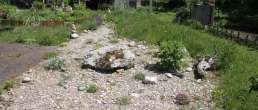 Event-Image for 'Naturg&auml;rtner: Tipps f&uuml;r den naturnahen Garten'