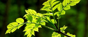 Event-Image for 'Naturschutztag im Walter Zoo'
