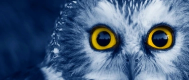 Event-Image for 'Nacht der Sterne'