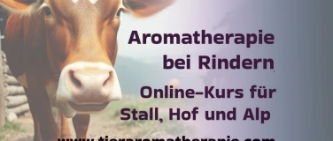 Event-Image for 'Aromatherapie im Kuhstall'