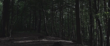 Event-Image for 'The Reset Ritual'