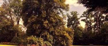 Event-Image for 'OSOMO HORIZONTAL CONCERT & PICNIC - Liegekonzert'
