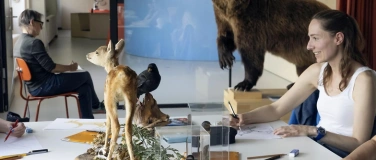 Event-Image for 'Ausgebucht: Tierzeichnen abends'