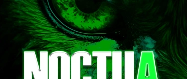 Event-Image for 'NOCTUA'