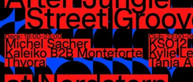 Event-Image for 'Jungle Street Groove Afterparty'