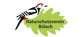 Organisateur de Naturschutzverein: Die faszinierende Welt der Schmetterlinge