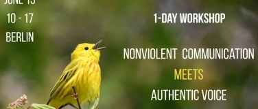 Event-Image for 'Non Violent Communication meets Authentic Voice'