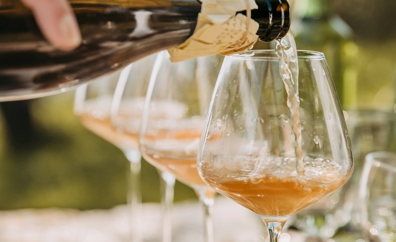 Event-Image for 'Natural Wine Experience (Schilchertage Sideevent)'