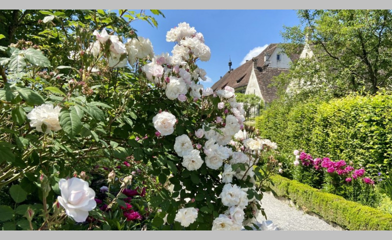 Event-Image for '&Ouml;ffentliche F&uuml;hrung: Rosenpracht in der Kartause Ittingen'