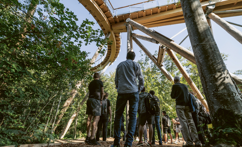 Baumwipfelpfad Neckertal - Öffentliche Führung