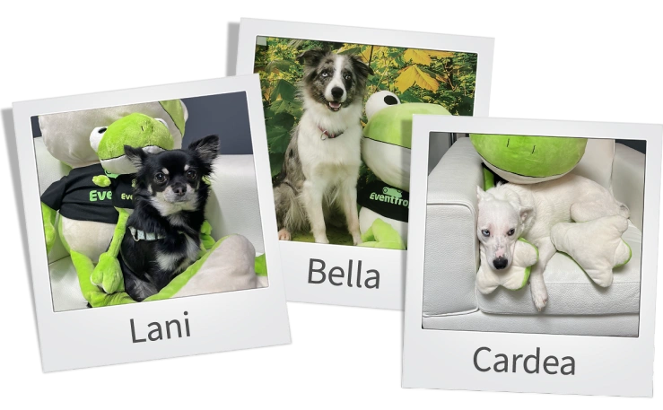 Office Dogs