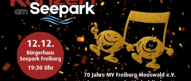 Event-Image for 'Konzert am Seepark'