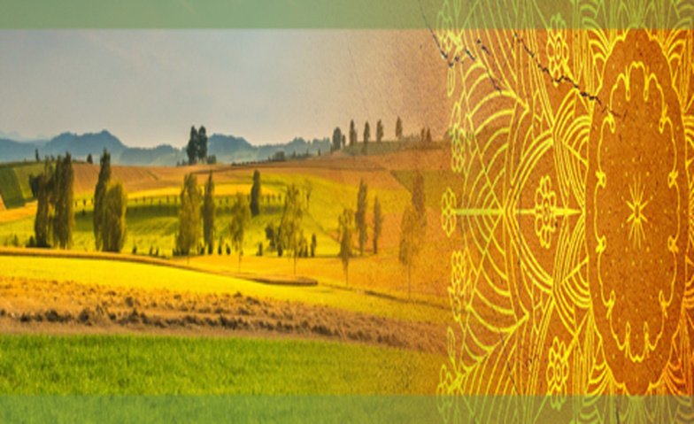 Event-Image for 'Yoga am Ort der Meditation'